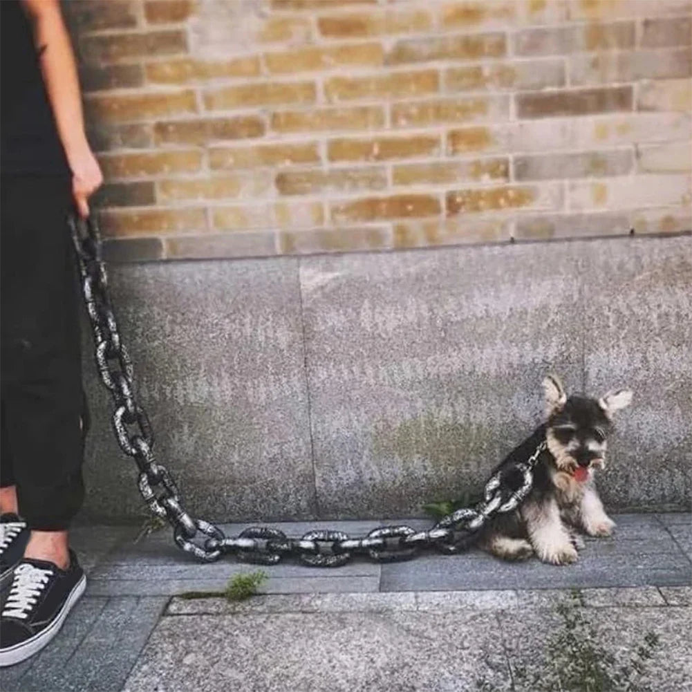laisse fantaisie pour chien