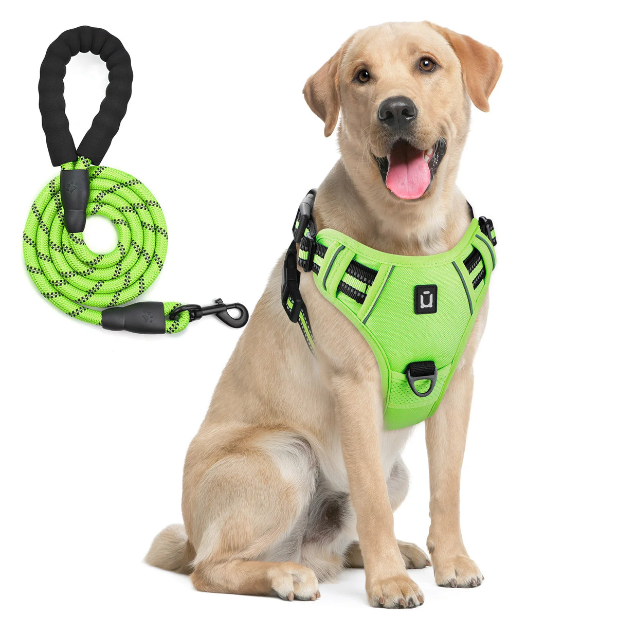 harnais laisse pour chien bleu