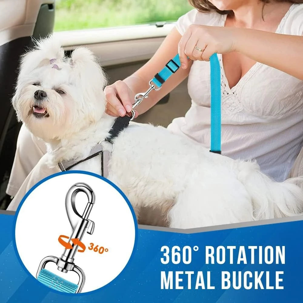 laisse ceinture retractable pour deux petit chien