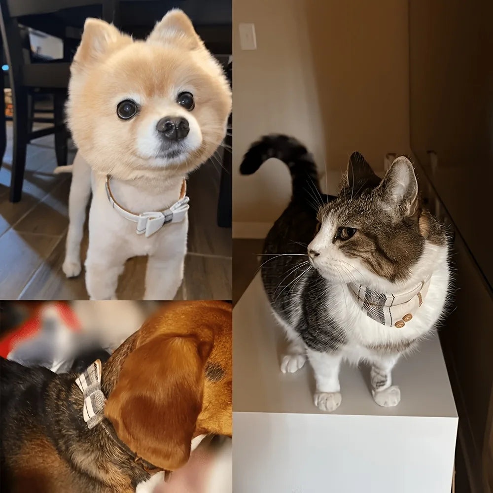 collier pour chien bandana avec laisse