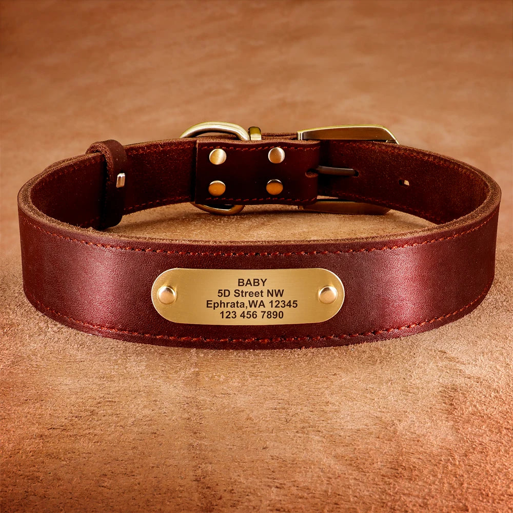 collier epais en cuire avec laisse pour gros chien