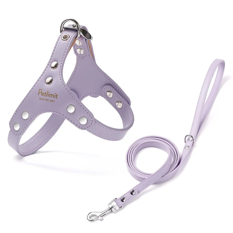 harnais cuir laisse pour petit chien yorkshire