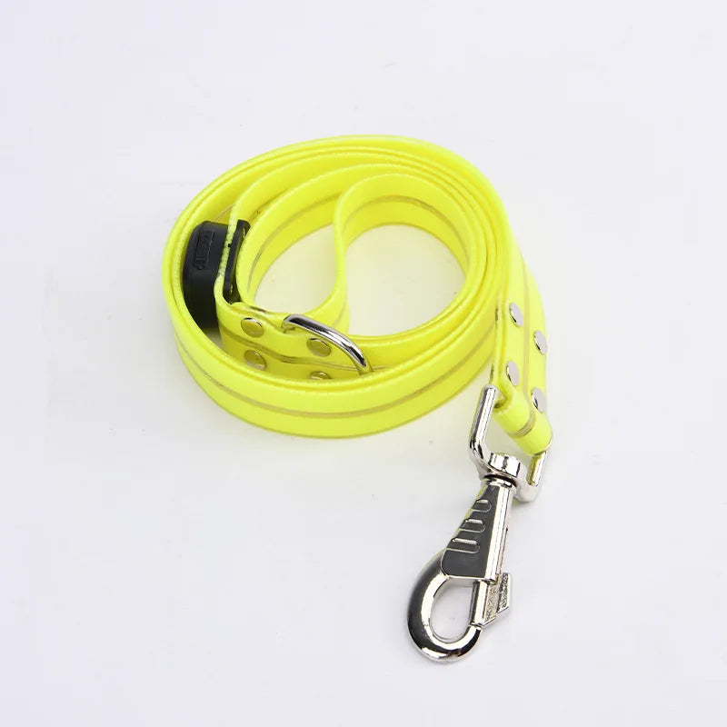collier et laisse lumineuse pour chien