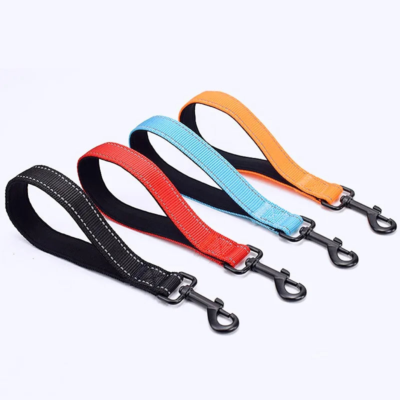 laisse courte pour chien