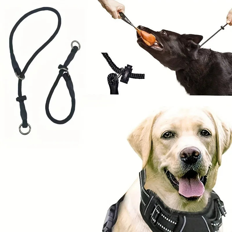 laisse collier étrangleur