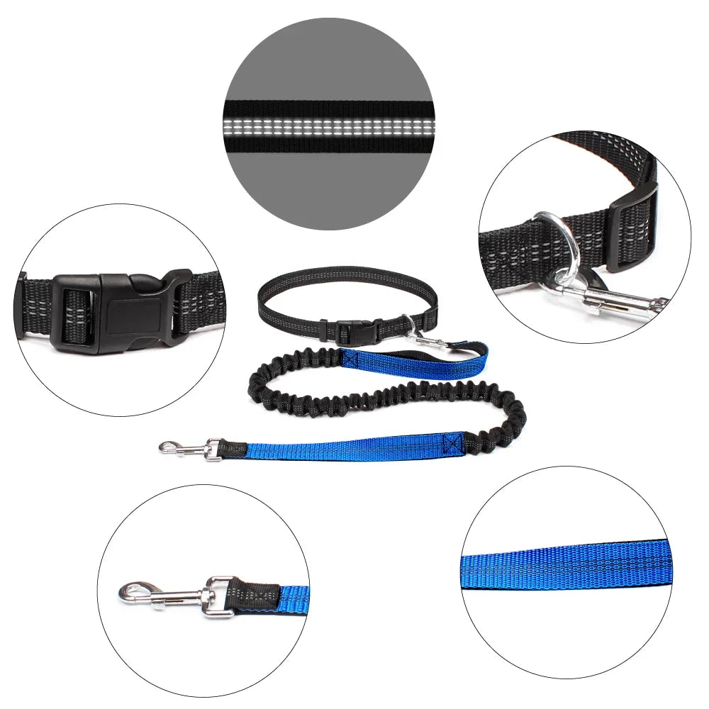 laisse ceinture pour chien