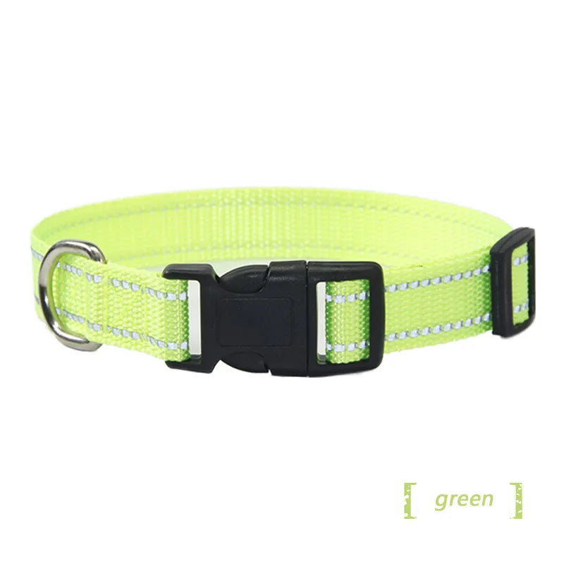 collier et laisse assorti pour chien
