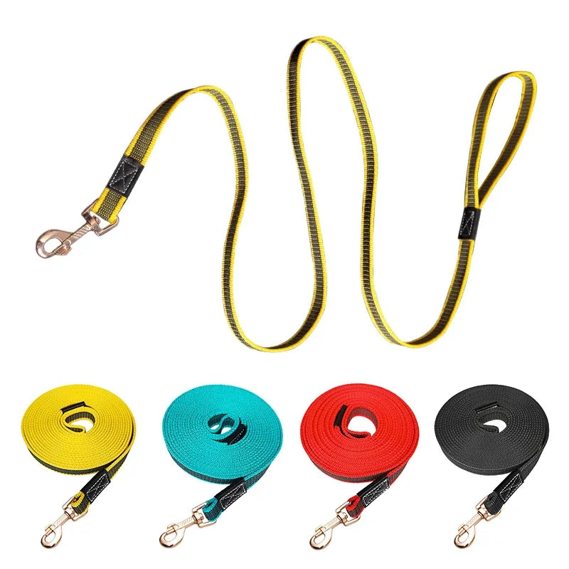 laisse 5 mètre pour chien