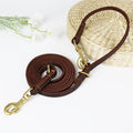 laisse en cuir multiposition chien
