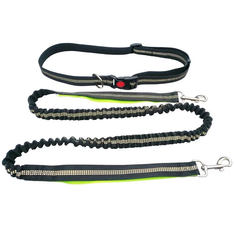 laisse canicross pour chien