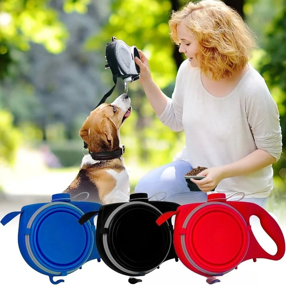 gourde laisse pour chien