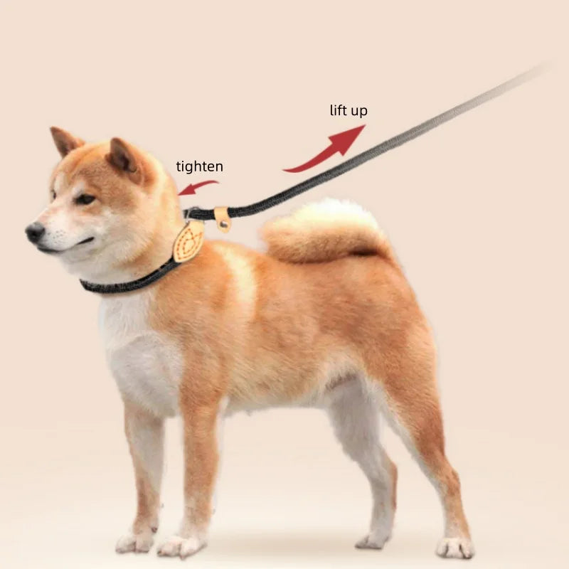 laisse coulissante pour chien