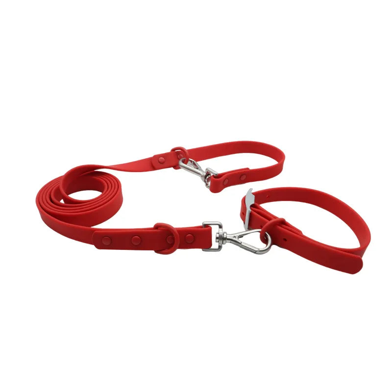 collier et laisse bleu brillante pour chien