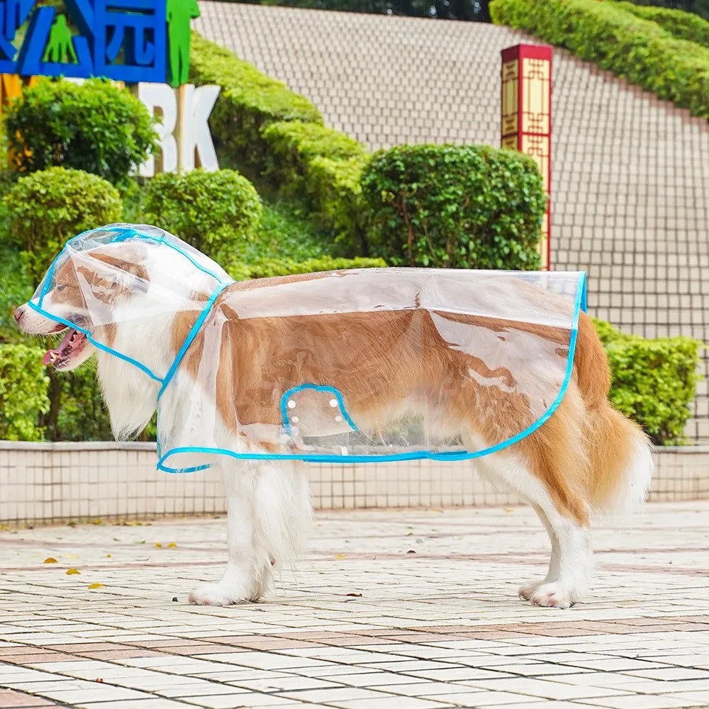 harnais impermeable transparent avec trou ou anneau