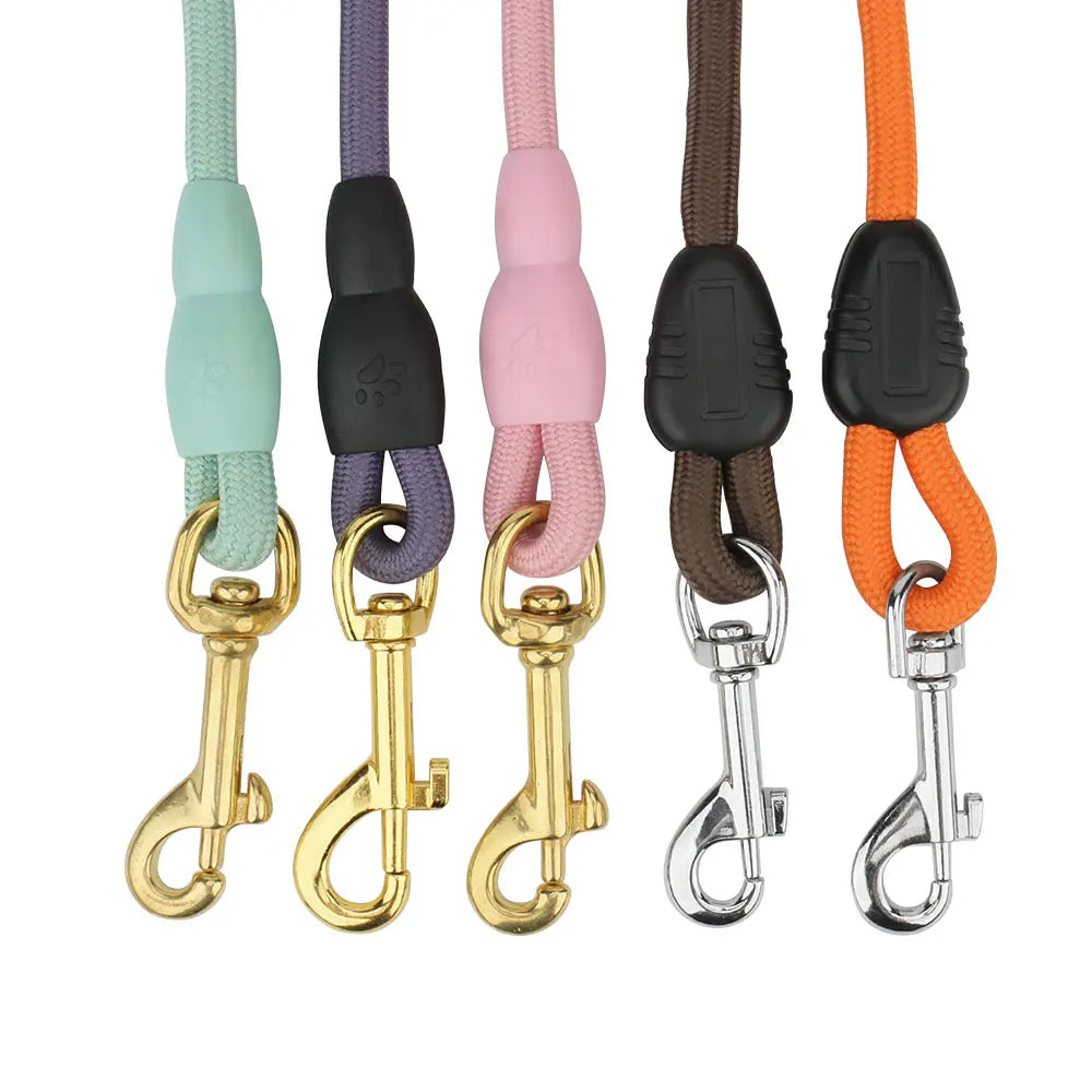 laisse pour chien 10 m