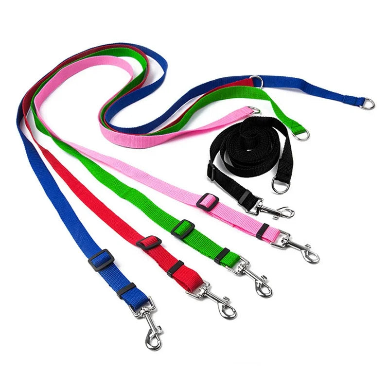 laisse 1m50 pour petit chien
