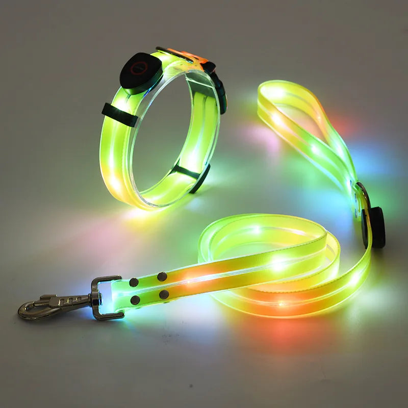 collier et laisse lumineuse pour chien