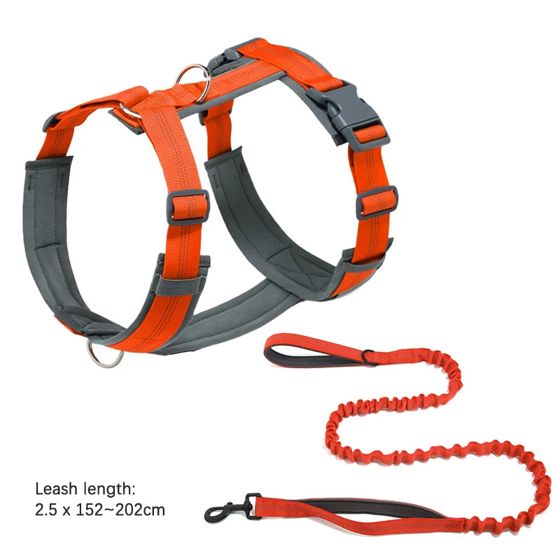 laisse anti fugue pour chien