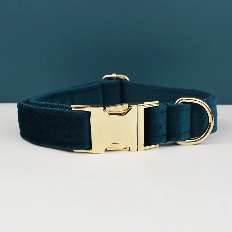 collier et laisse pour chihuahua