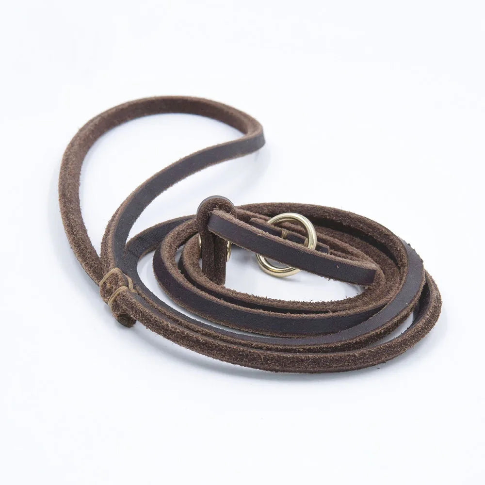 laisse cravate pour chien