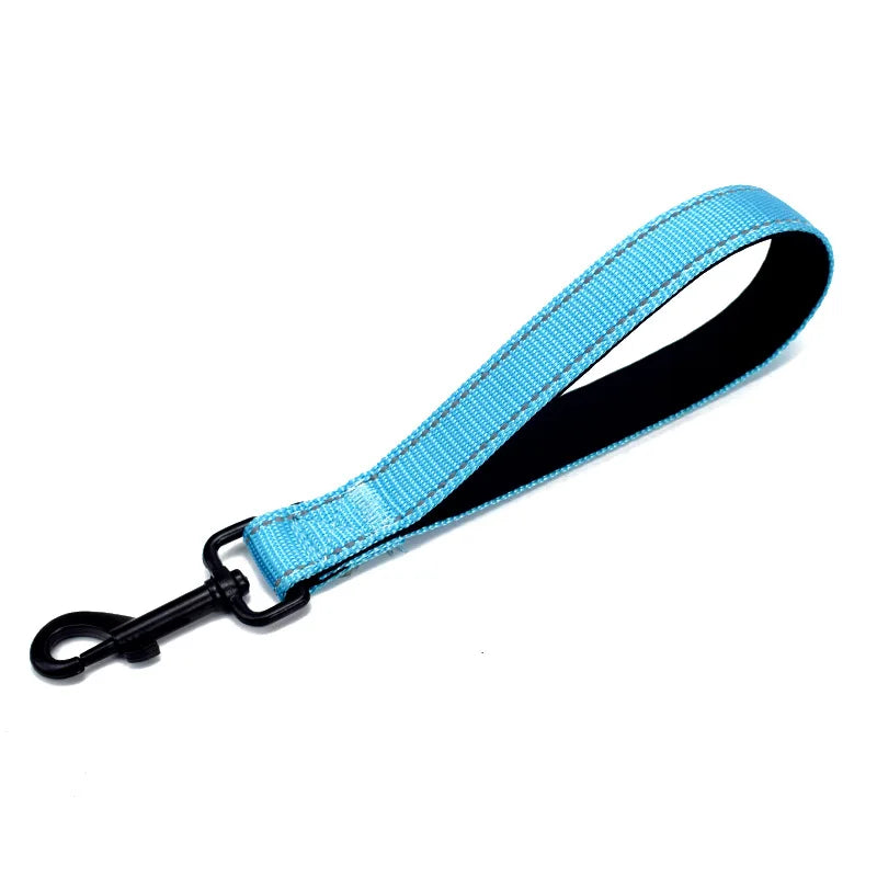 laisse courte pour chien