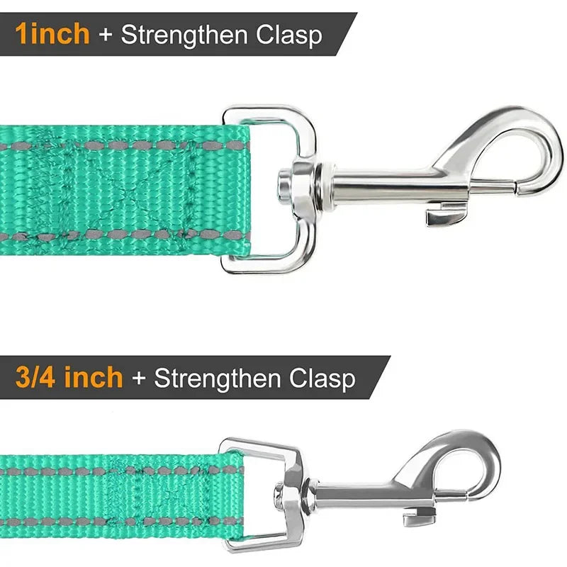 laisse sangle pour chien