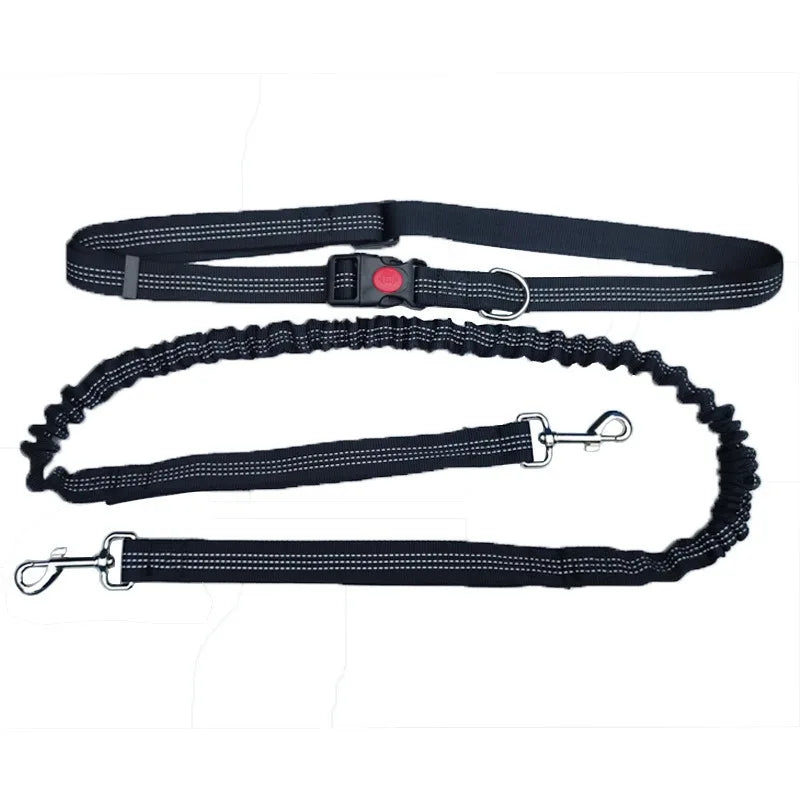 laisse canicross pour chien