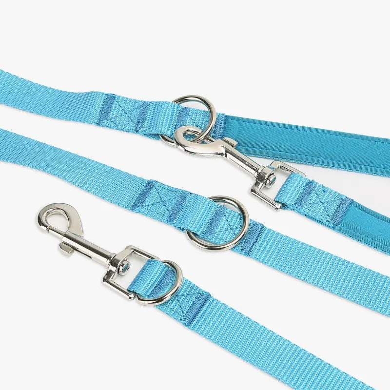 laisse bleu pour chien