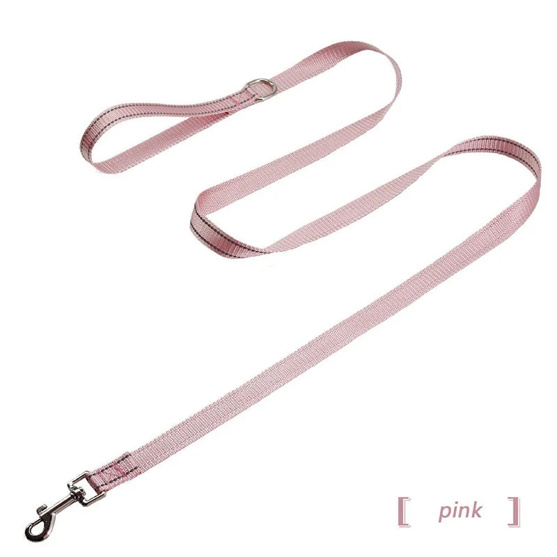 collier et laisse assorti pour chien
