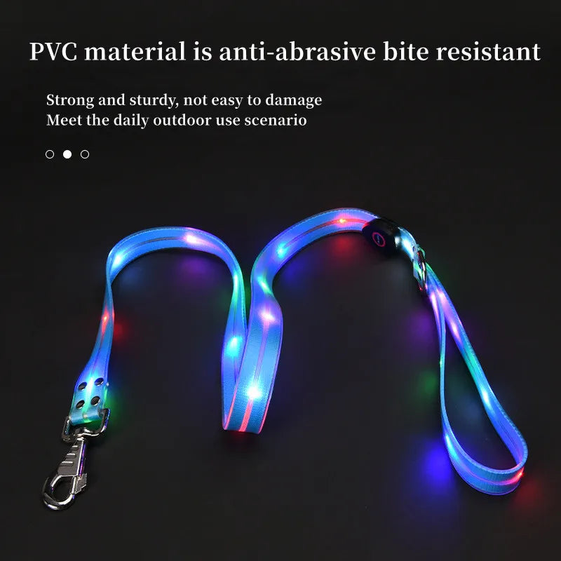 collier et laisse lumineuse pour chien
