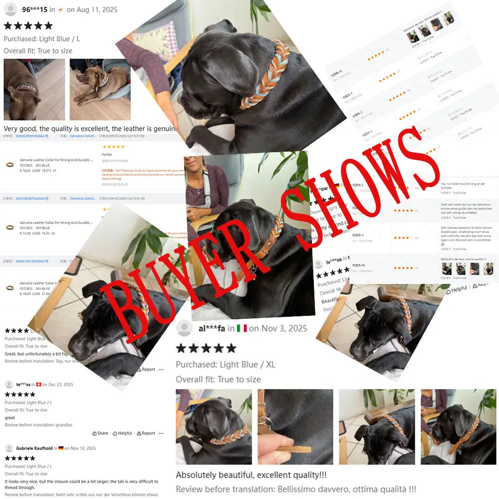 laisse pour chien tresser