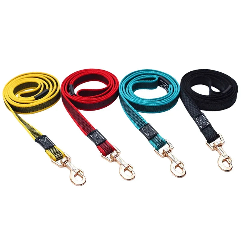 laisse 5 mètre pour chien