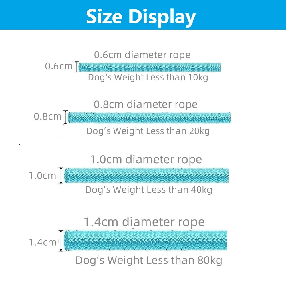 laisse lasso gros chien
