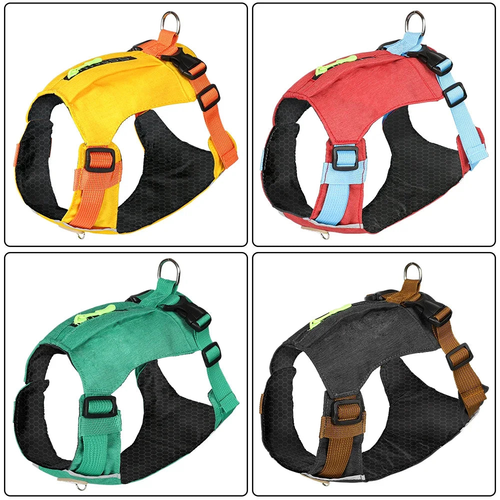 impermeable pour chien pour chien avec accroche laisse
