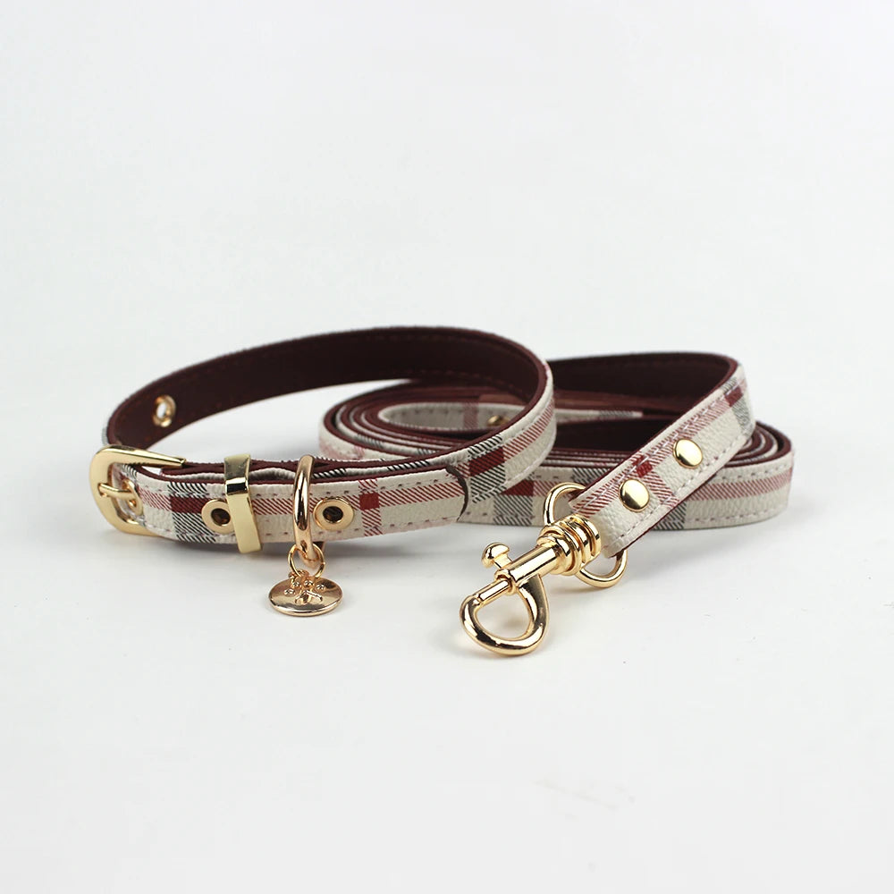 collier et laisse pour chien chic