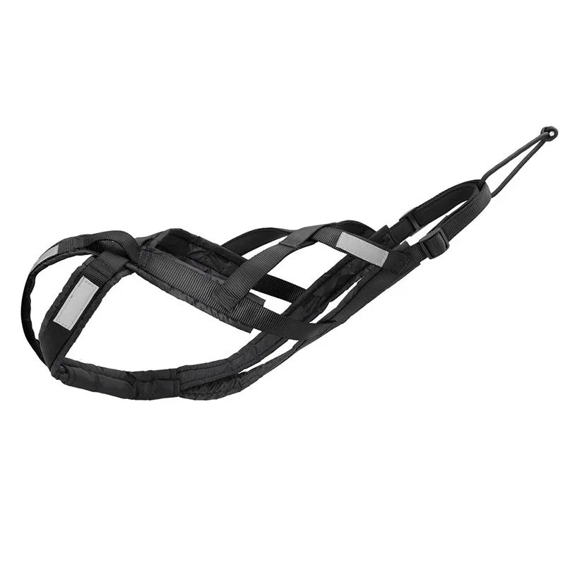 laisse pour chien de traineaux