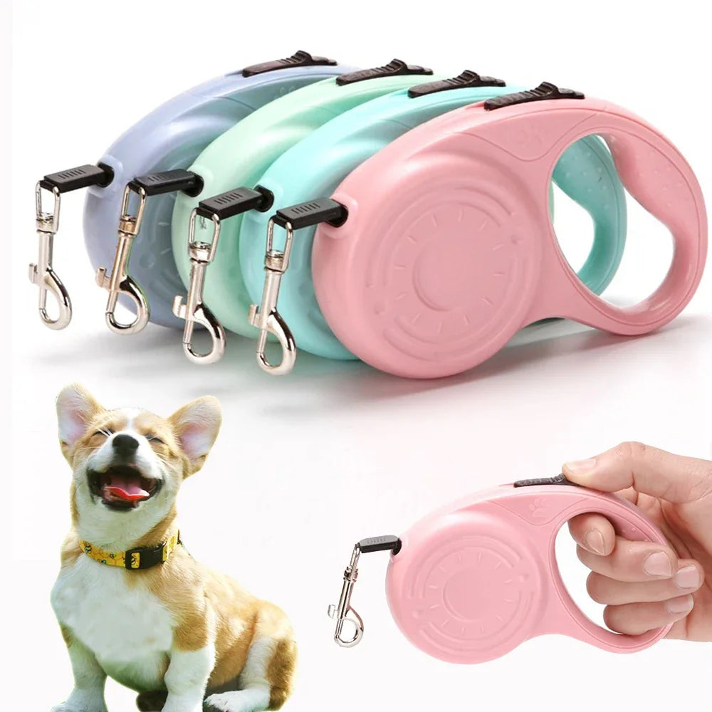 laisse enrouleur pour petit chien