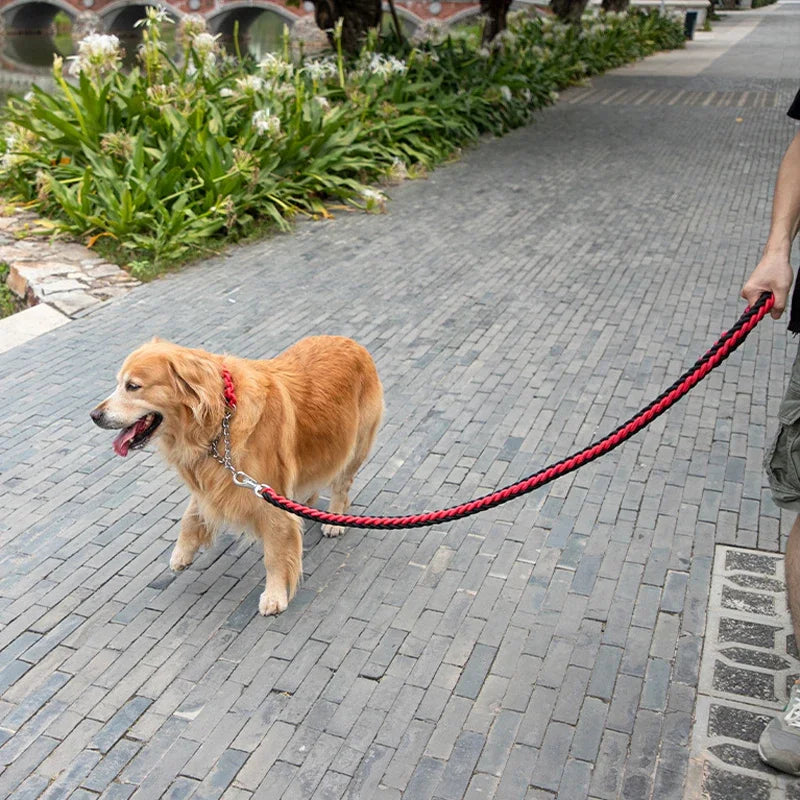 laisse pour grand chien