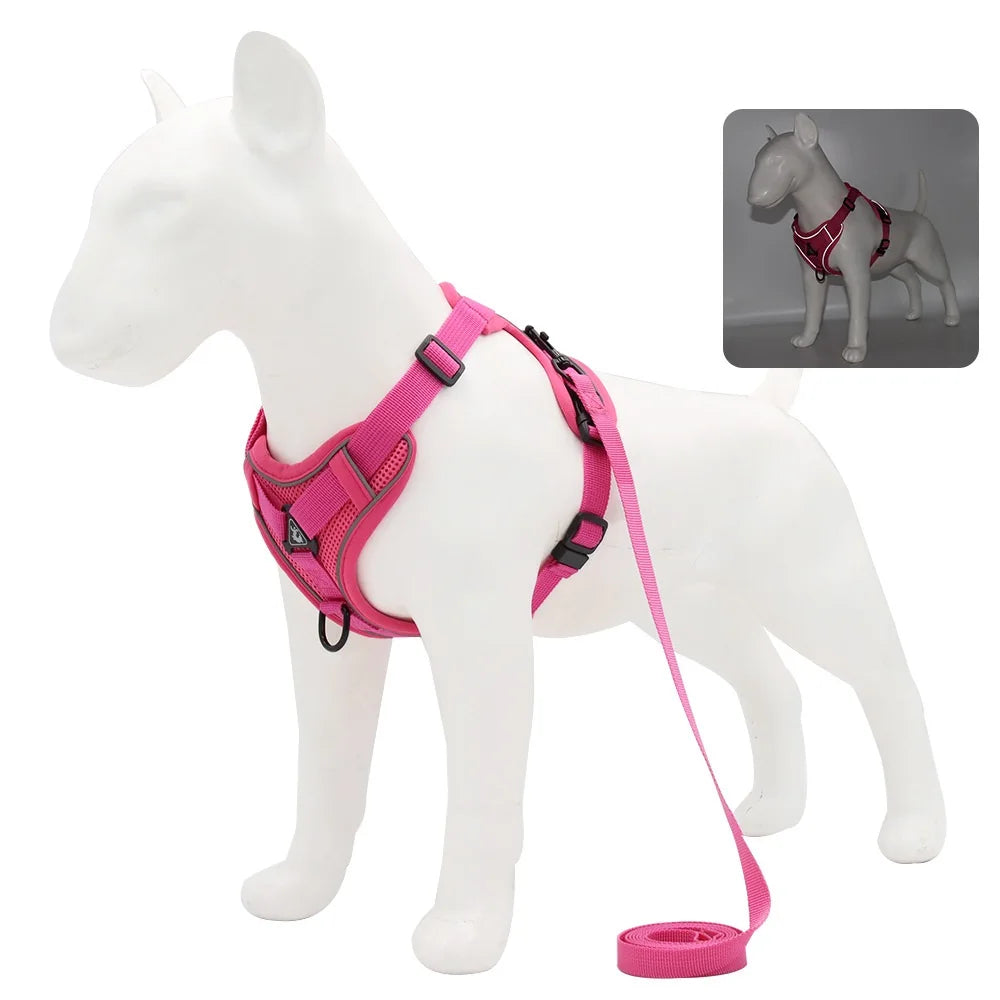 harnais laisse pour chien de moyen taille