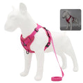 harnais laisse pour chien de moyen taille