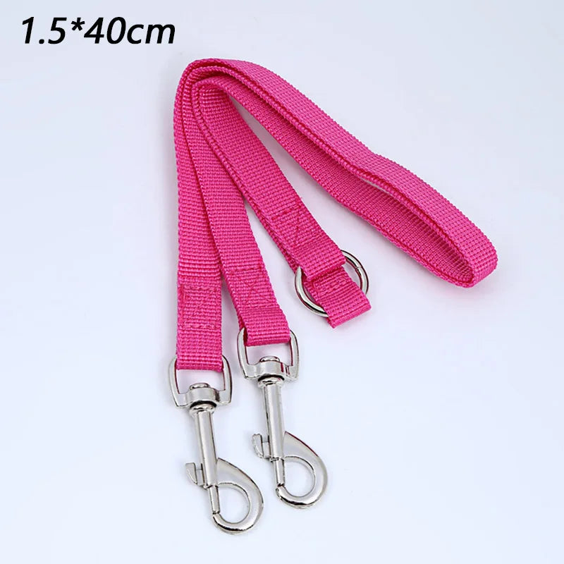 double laisse petit chien