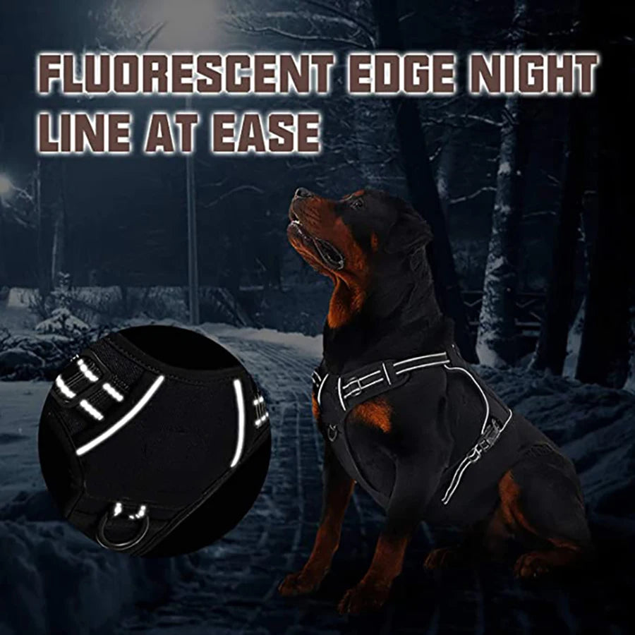 laisse militaire pour chien