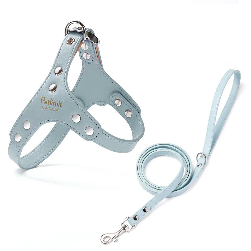 harnais cuir laisse pour petit chien yorkshire