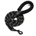 laisse ronde pour chien