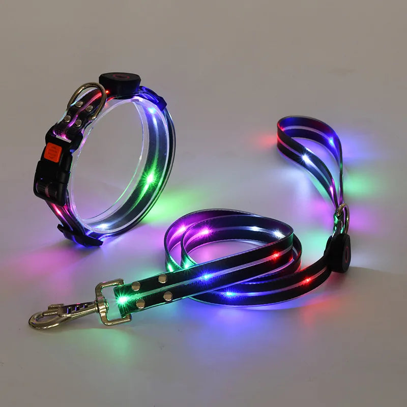 collier et laisse lumineuse pour chien