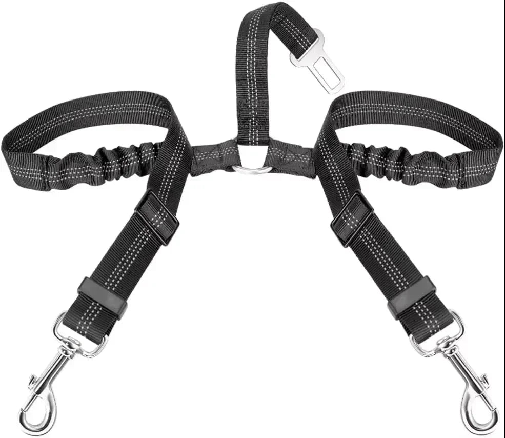 laisse corde pour chien