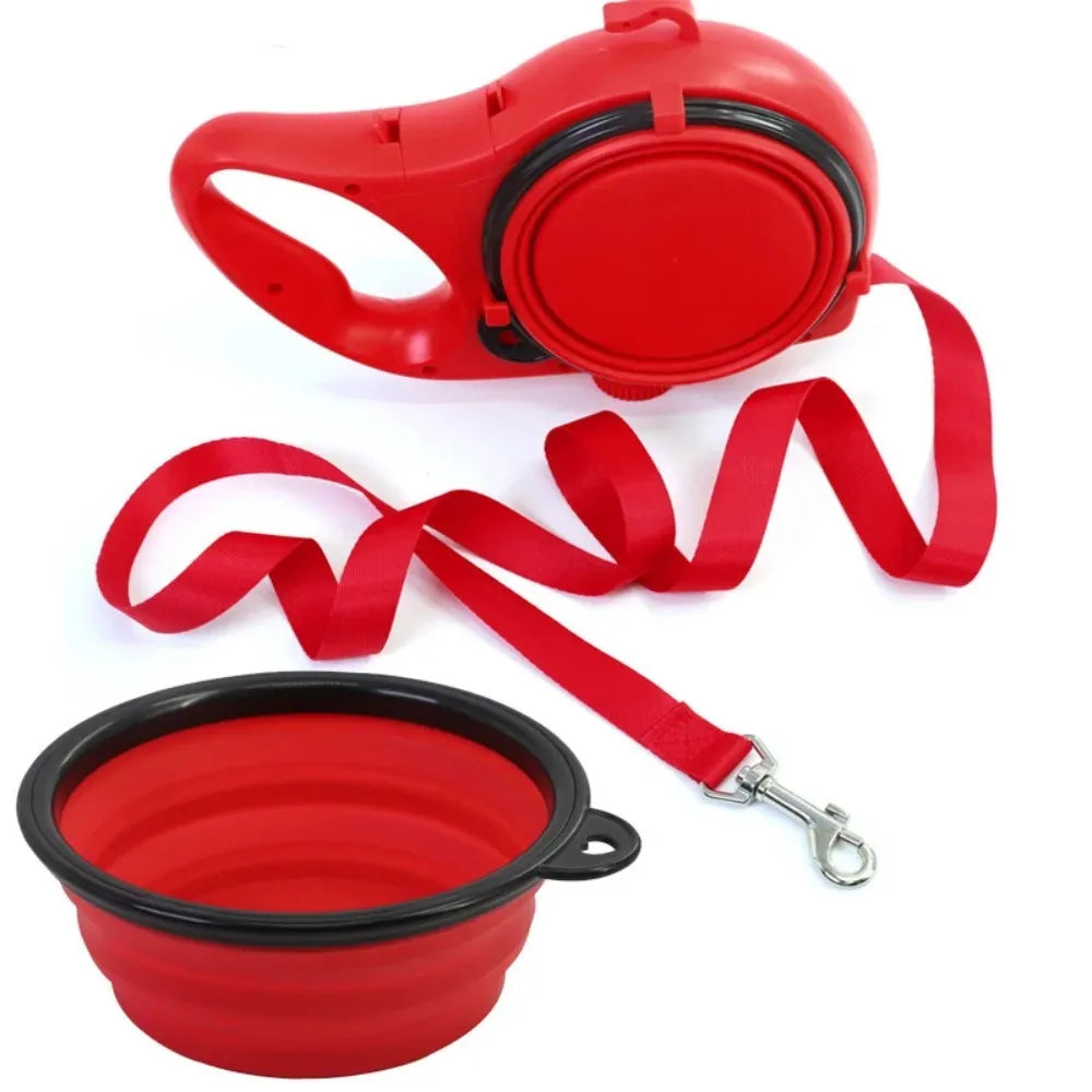 gourde laisse pour chien