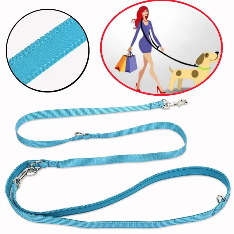 laisse bleu pour chien