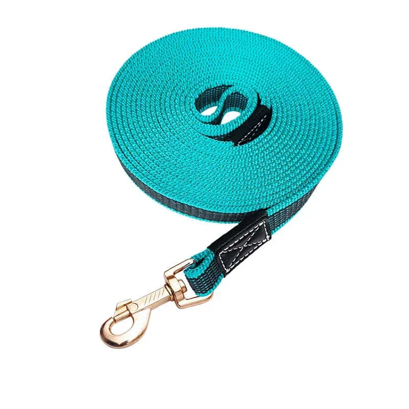 laisse 5 mètre pour chien