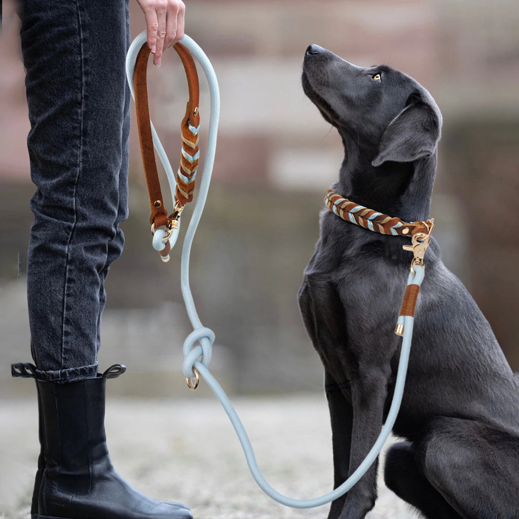 laisse pour chien tresser